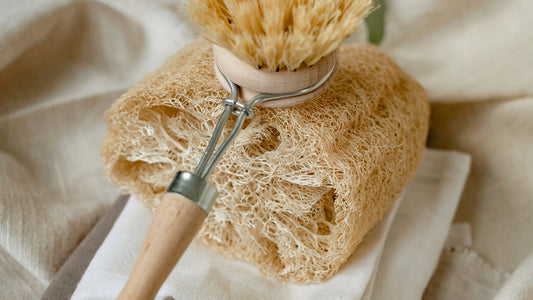 Embrace Sustainable Living with Loofahs