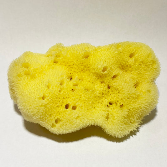 Natural Caribbean Silk Sea Sponge