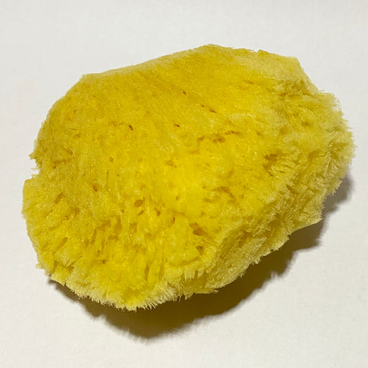 Natural Caribbean Rough Sea Sponge